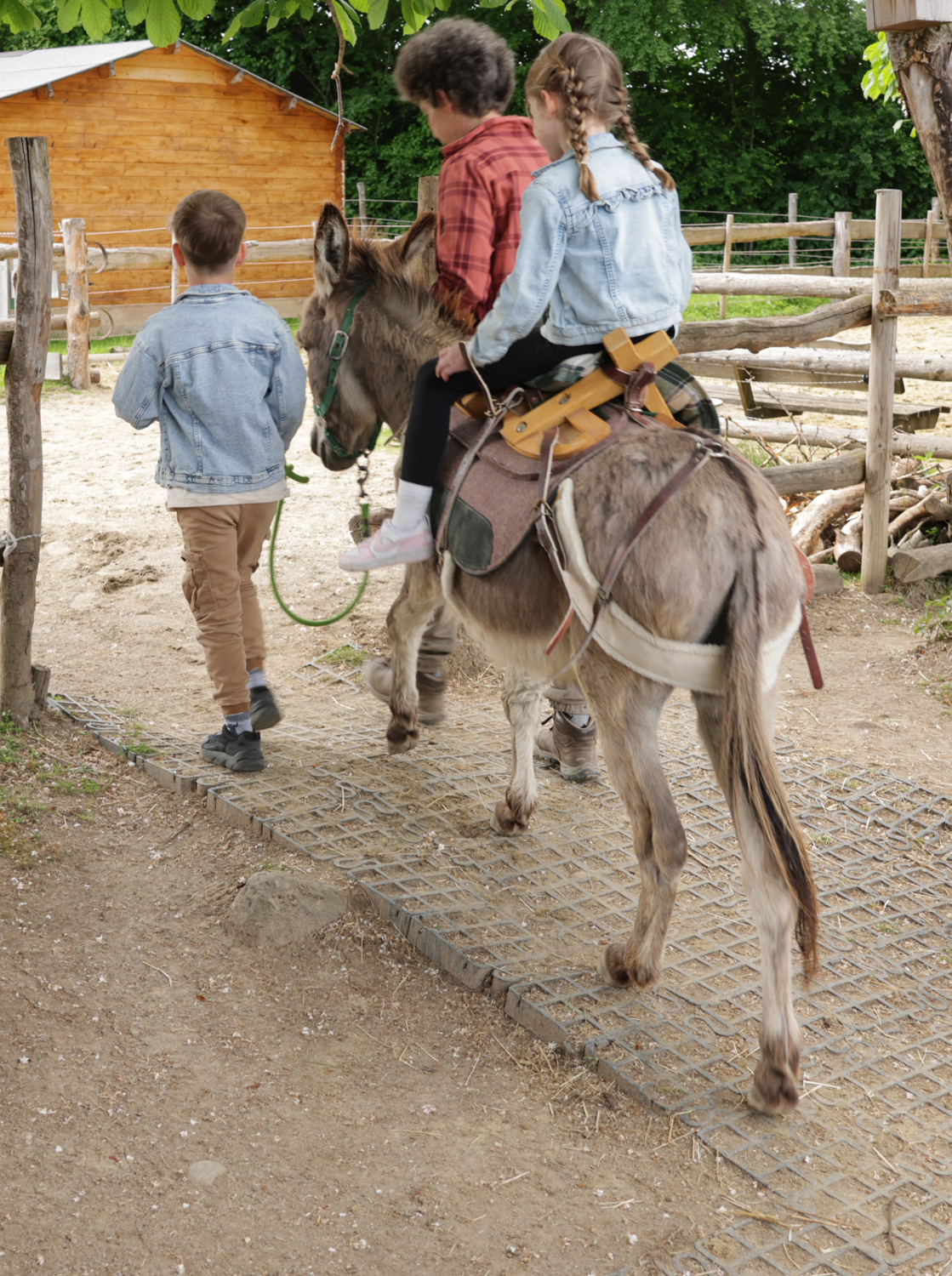 Eselreiten für Kinder