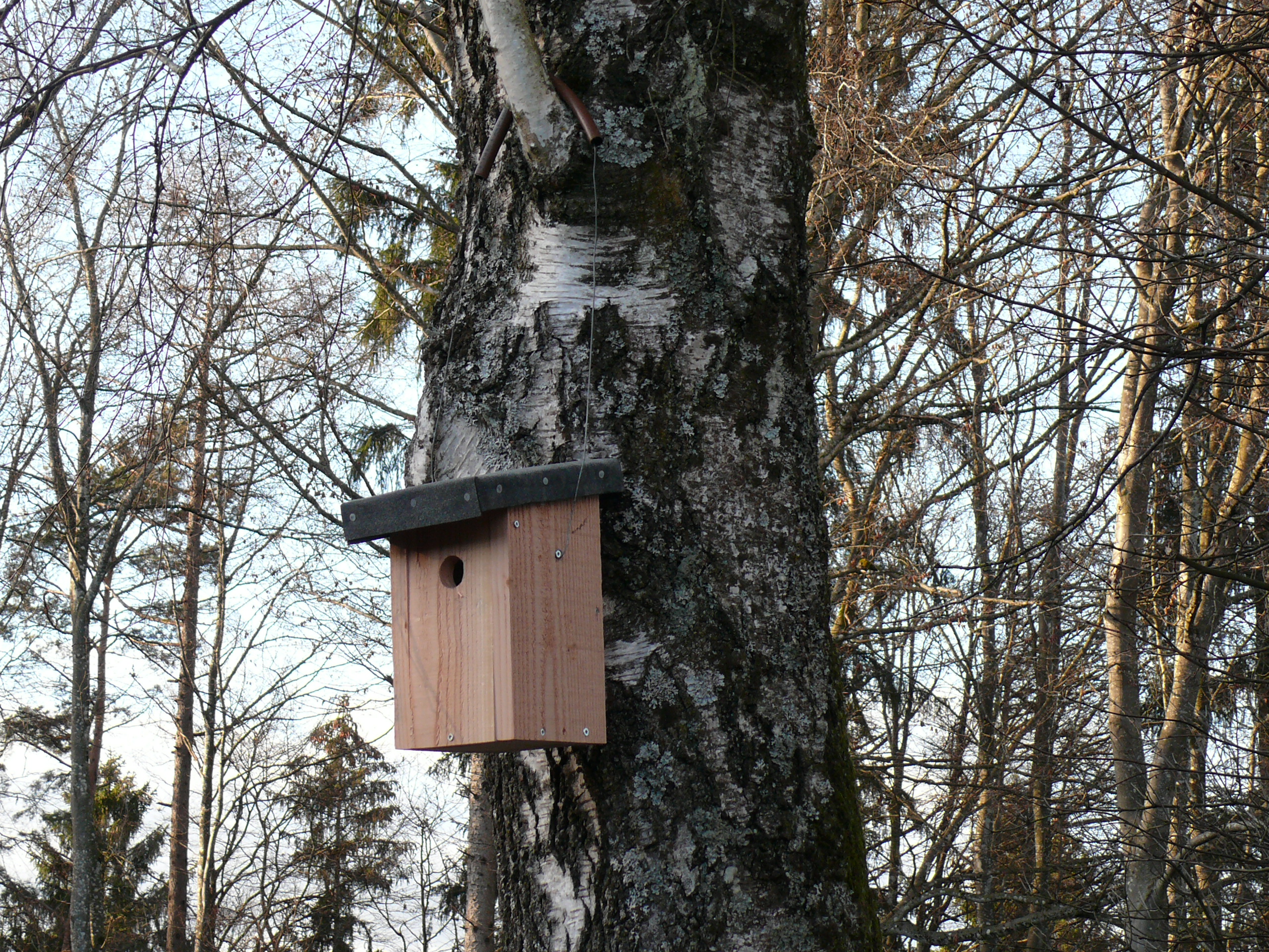 Vogelnistkasten