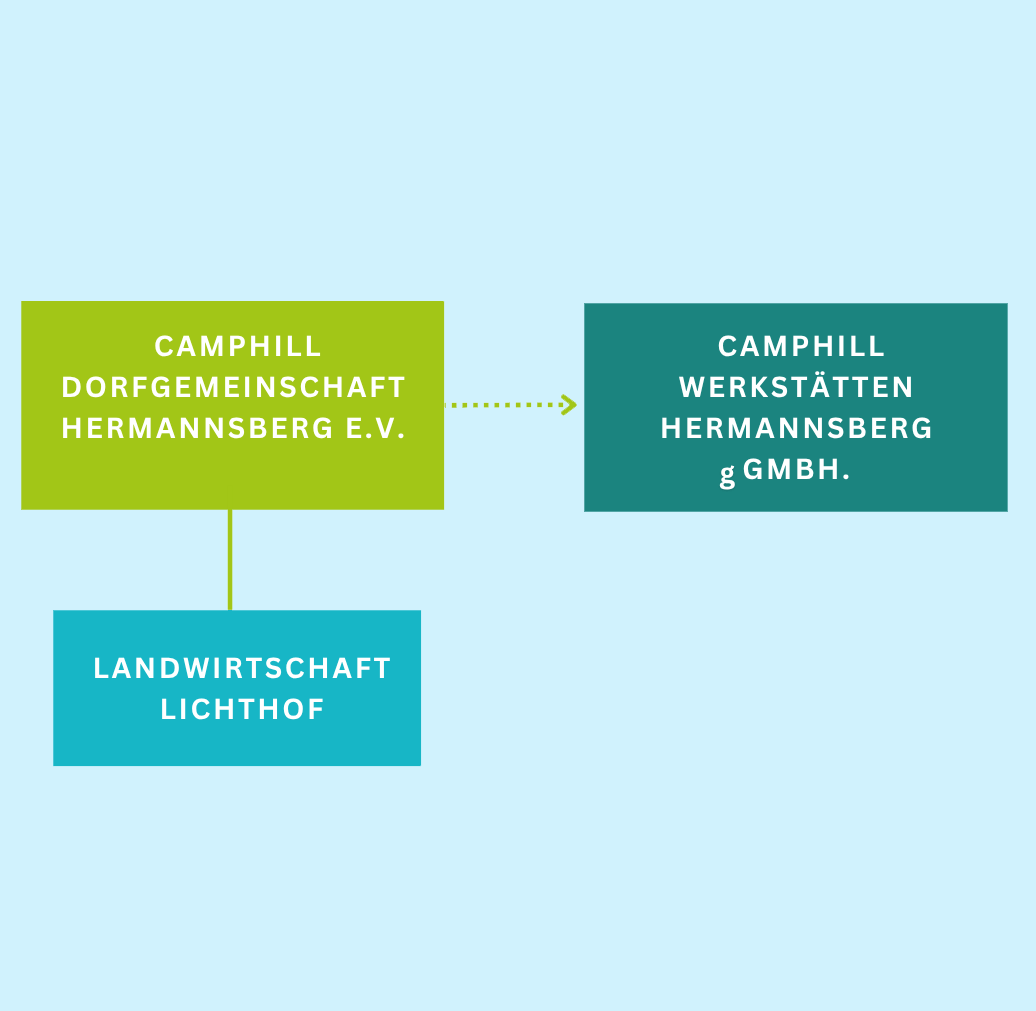 Grafische Abbildung Organisation